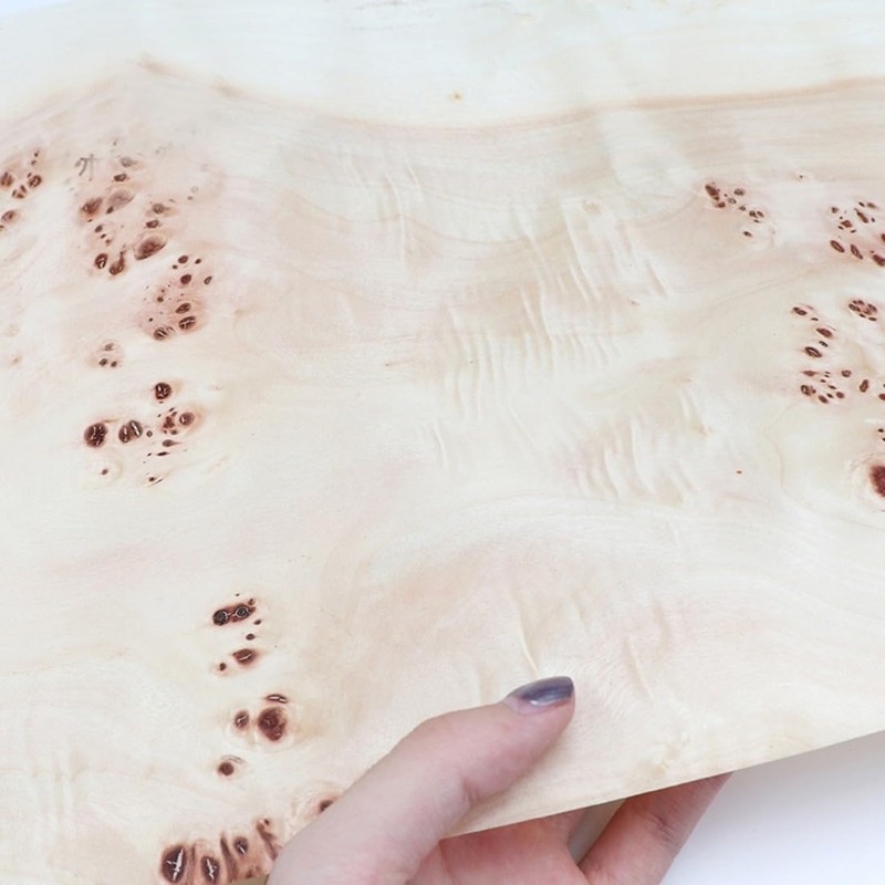 Natural Poplar Tree Veneer with Burl Wood Veneer Sheets -