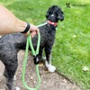 Warren London Climbing Rope Dog Leash | 5ft Length with