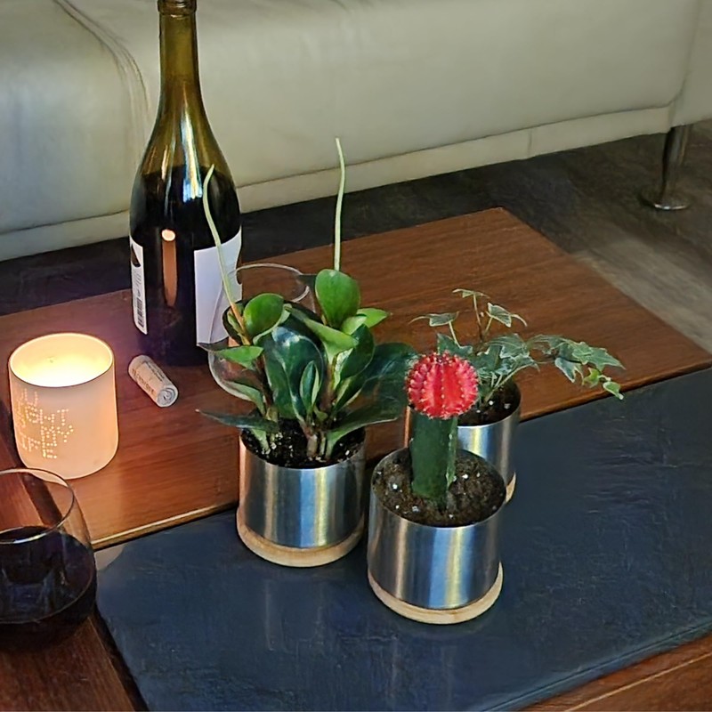 THE SIMPLE SMART COMPANY 304 Mini Accent Planter (2 Pack)