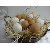 Posiwio 12 Easter eggs, real chicken eggs, Easter decoration, Easter