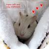 LEFTSTARER Bunkbed Sugar Glider Hammock, Ferret Beds, Small Pet Cage