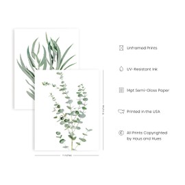 HAUS AND HUES Botanical Plant Wall Art Prints - Set of 4 Plant Wall Decor Prints Floral Kitchen Flower Leaves Wall Art Boho Leaf Eucalyptus (11x14, UNFRAMED)