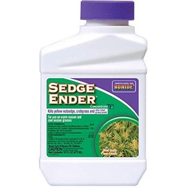 Sedge Ender Concentrate