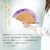 Osaka Choseido Folding Fan, Women's, Stylish, Business, Folding Bag, Handkerchief