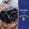 Tio Nacho Thickening Shampoo + Conditioner & Hair Treatment Set