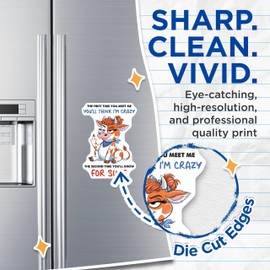 (2 Pack) Crazy Cow Magnets - Funny Cow Decor - Sassy Animal Magnets- 5" On Longest Side - Sticks to Smooth Flat Surfaces - Made in USA - MAG11618