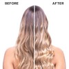Alfaparf Millano Semi di Lino Moisturizing Shampoo for Dry Hair