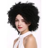 WIG ME UP - ZM-1586-1 Women's Wig Frizzy Curly Afro