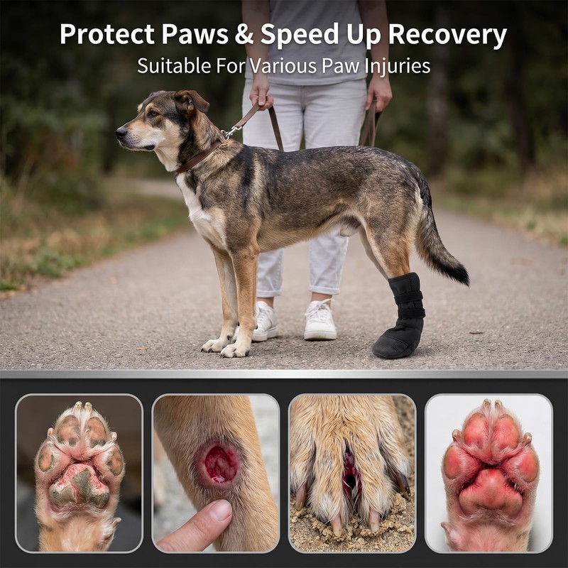 Benaewa Dog Socks for Injured Paws Waterproof, Breathable Recovery Dog