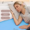 NatureMark Pack of 2 Jersey Fitted Sheets, 100% Cotton, Many