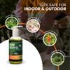 Yield Titan's 100% Pure Cold Pressed Concentrated Neem Oil for