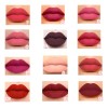 Labial Con Lápiz, Indeleble Mate Larga Duración 1pz