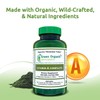 Green Organic Supplements Vitamin A, Retinyl Palmitate, 90 VCaps, 15000IU,