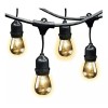 Feit Electric Luces Led En Serie Para Jardin Patio Exterior