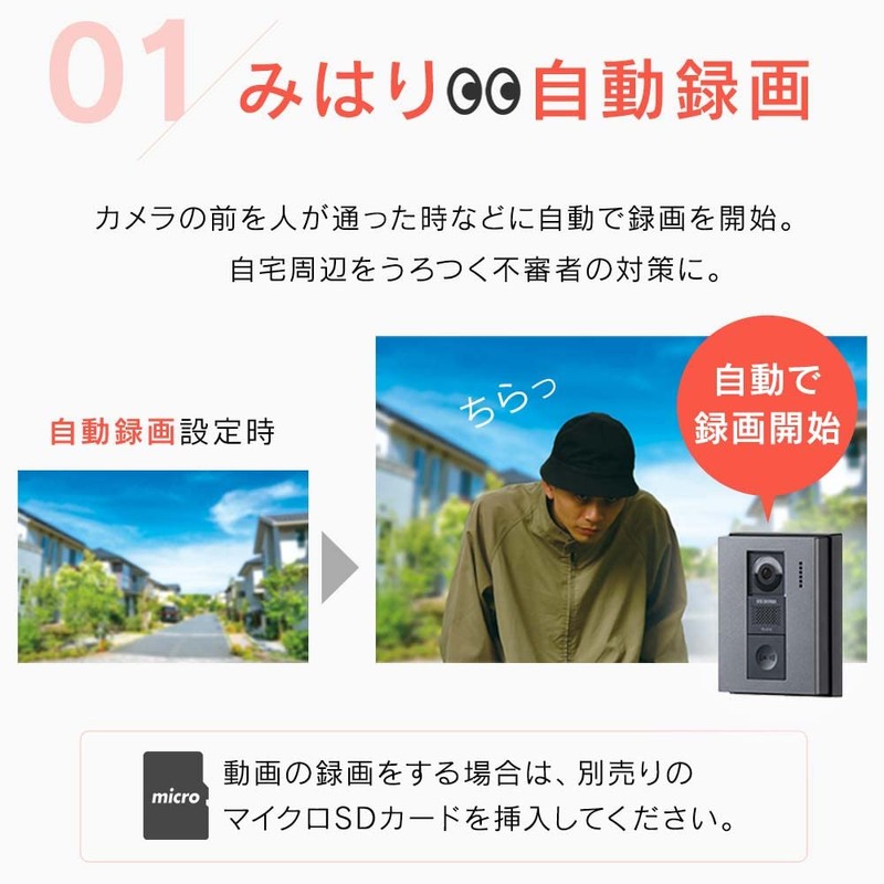 Iris Ohyama TD-SM3010-WSH TV Door Intercom White/Gun Metallic