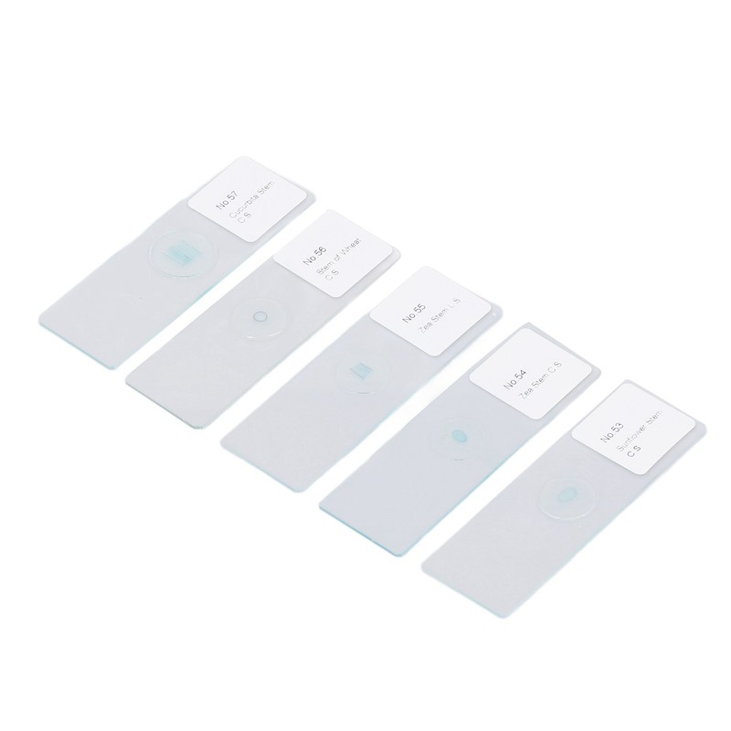 100pcs Microscope Slides Rounded Edge Plants Blank Microscope Slides for