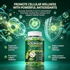 Govixed Soursop Gummies, 8500mg 20-in-1 Herbal Extracts for Overall Health-Enhancing,