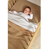 Meyco Baby Plain Fitted Sheet for the Cot Bed (Flat