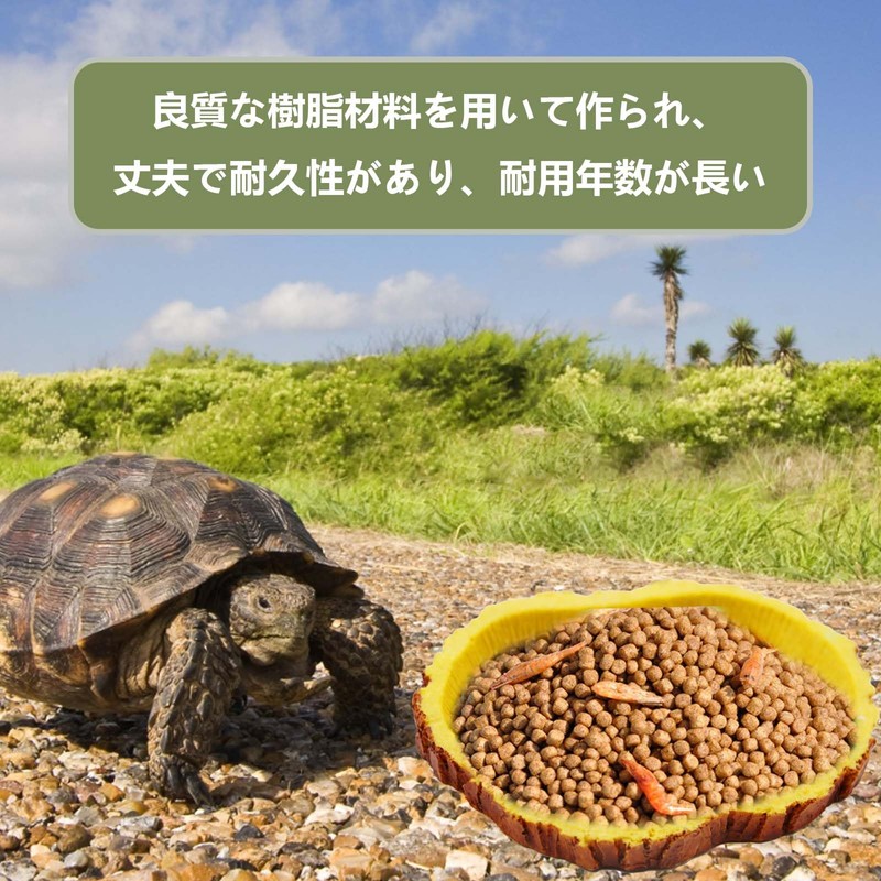 PAVIKE Reptile Bait Food Bowl Reptile Water Tray Reptile Feeding