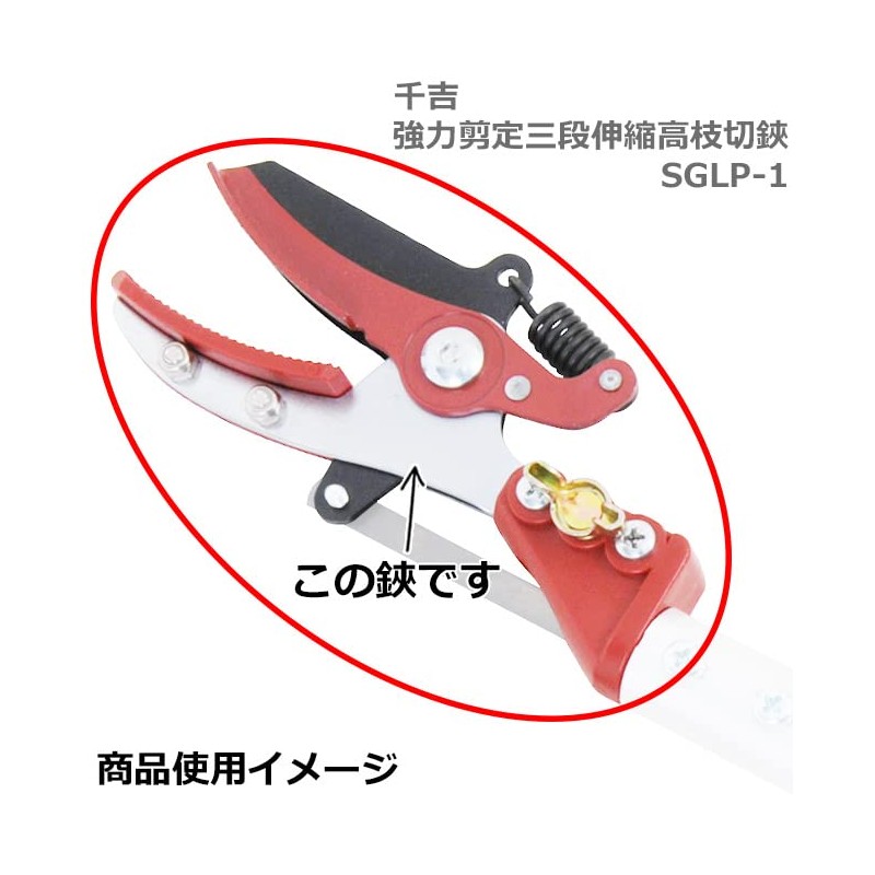 A Perfect Gift 吉 High Branch Cutting 鋏用 Scissor Set