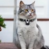 4K Cat Collar Camera IPS Touch Screen HD WiFi Pet