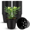 Augshy Pots, black, 4inch