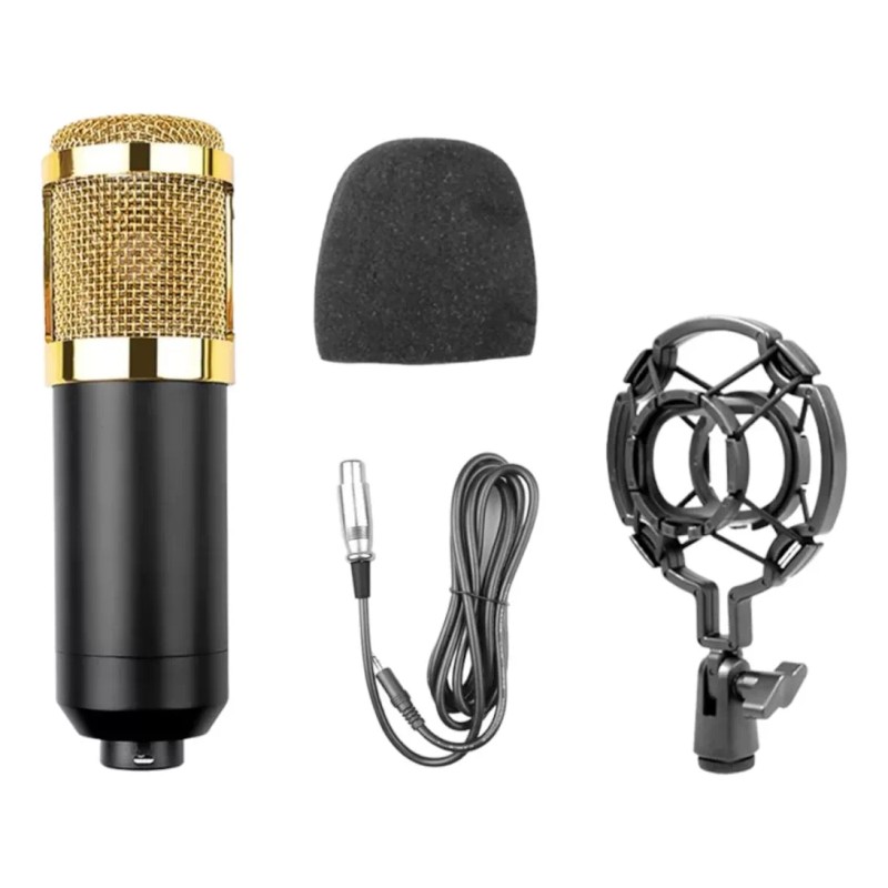 Eco R Kit Microfono Profesional Condensador Grabacion Estudio Ktv