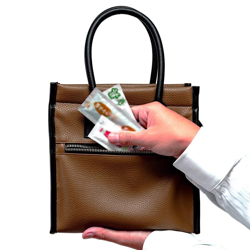 Hacovolo 6019 Insulated Lunch Bag Fits Suits, Khaki