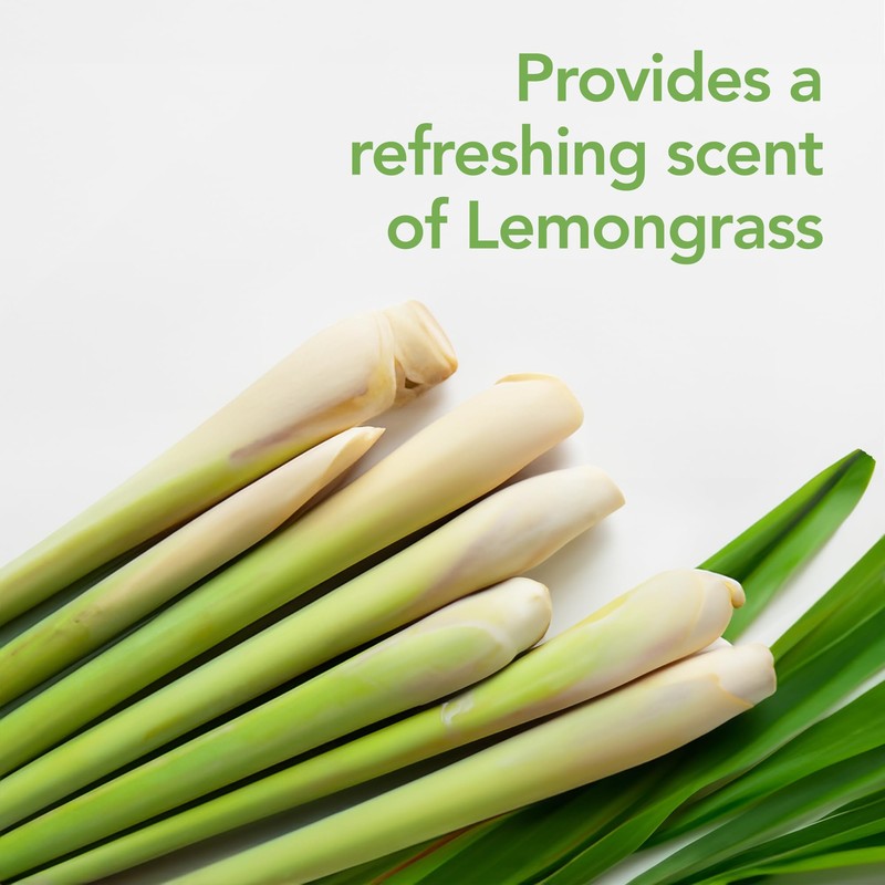 Raid Essentials Multi-Insect Killer Spray Bottle, Child & Pet Safe,