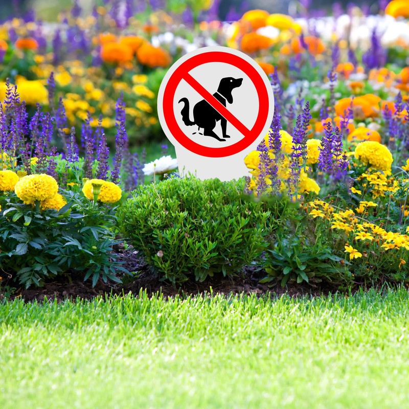 Pack of 2 No Dog Toilet Signs, No Dog Poop