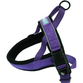 DOG & CO Norwegian Performance Harness, Medium, Purple
