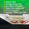 3DAquaticSolutions Aquarium Shrimp Party Tunnel, Includes Exquisite VIP Room and