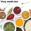 10 PCS Condiment Spoons Stainless Steel Mini Spoons 3 Inches