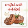 Purina Fancy Feast Gravy Lovers Beef Feast Pate in Wet
