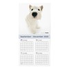 THE DOG 2026 Wall Calendar Large Size [West Highlands White