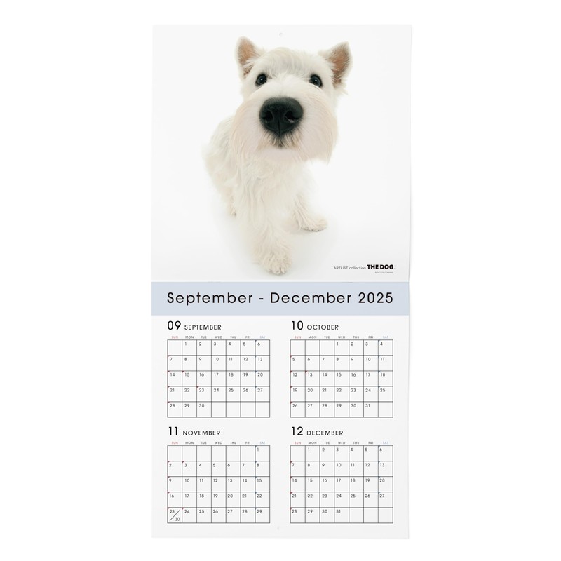 THE DOG 2026 Wall Calendar Large Size [West Highlands White