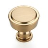Ravinte 5 Pack Champagne Bronze Kitchen Cabinet Knobs Single Hole