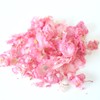 Commercial Edible Flower Dry Edible Flower Begonia Pink