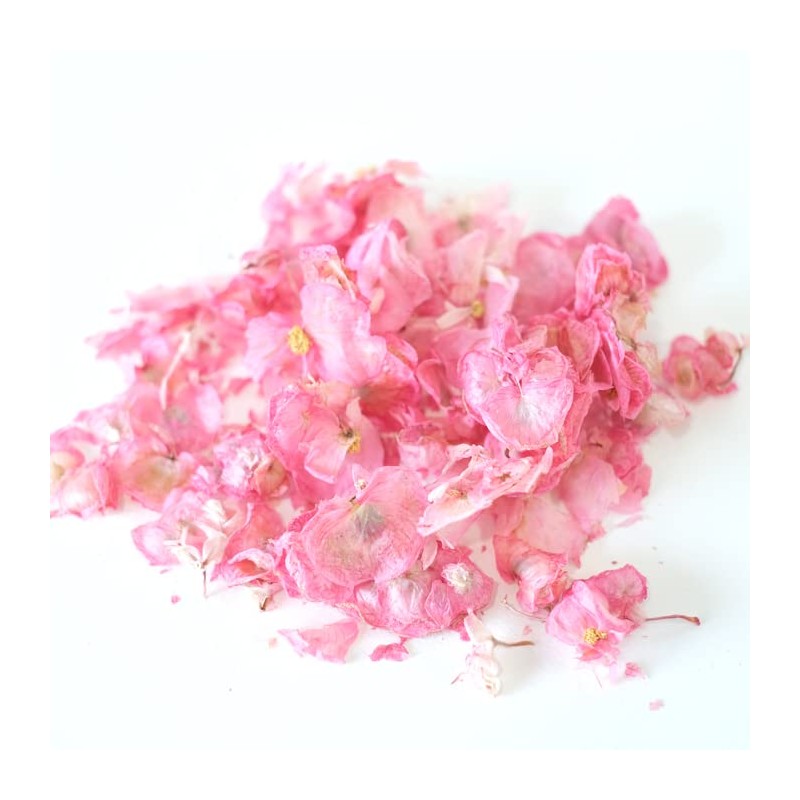 Commercial Edible Flower Dry Edible Flower Begonia Pink