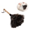 Feather Dusters, Ostrich Duster with Handle Cleaning Brush Tool for