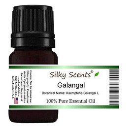 Galangal Essential Oil (Kaempferia Galangal L) 100% Pure Therapeutic Grade - 1OZ-30ML