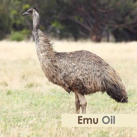 Crysalis Emu (Dromaius Novaehollandiae) Oil|100% Pure & Natural Undiluted Essential Oil Organic Standard for Skin & Hair Care|for Face & Skin| Improves Hair Texture & Smoothness - 15ML with Dropper