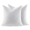 Swandream Feather Throw Pillow Inserts Set of 2, Soft Fluffy
