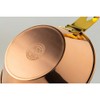 Fireside Copper Sierra Cup (400)