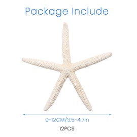 12 PCS Natural Starfish for Crafts 3.5''-4.7'' White Starfish Bulk Ornaments, for Wedding Beach Theme Party Home Starfish Decor & DIY Crafts