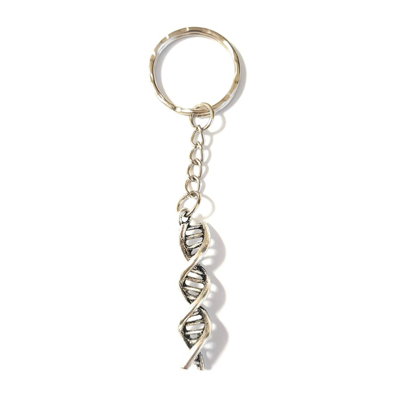 Dreambase DNA Keyring Antique Silver, antique silver