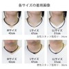 Colantotte Magnetic Necklace TAO Basic Neo Necklace