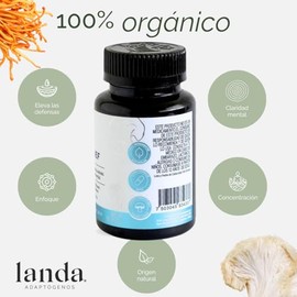 LANDA | Mind & Stress Relief | Suplemento natural con Reishi, Melena de León, Rhodiola, Bacopa y Ginseng Siberiano | Cápsulas adaptógenas para estrés,