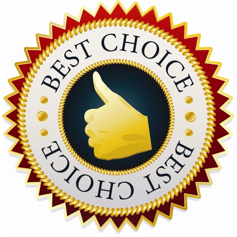 Delta High Flow *13.5 GPM* High Pressure Shower Head by