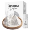SINT Aroma Diffuser Diatomite Mountain Stone | Essential Oil Diffuser